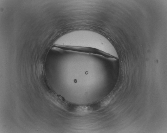 X0000078260227200612011702