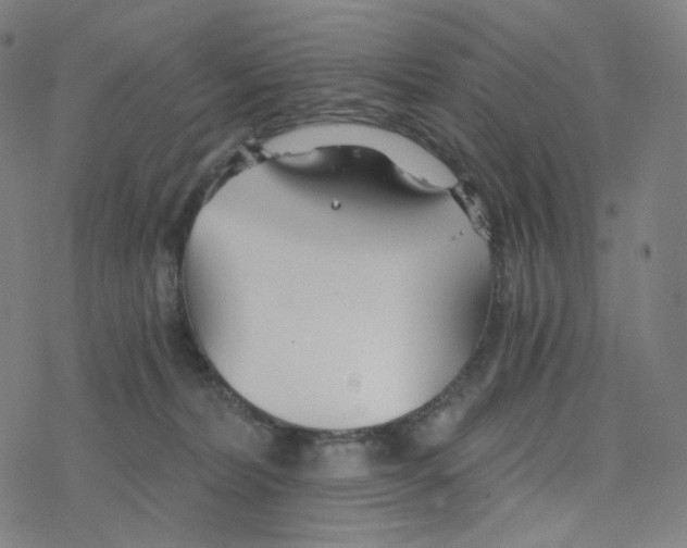 X0000078260228200612011702