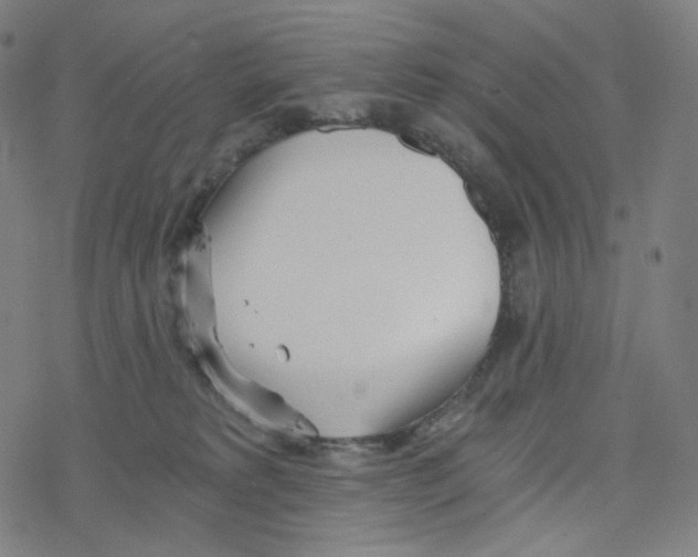 X0000078260229200612011702