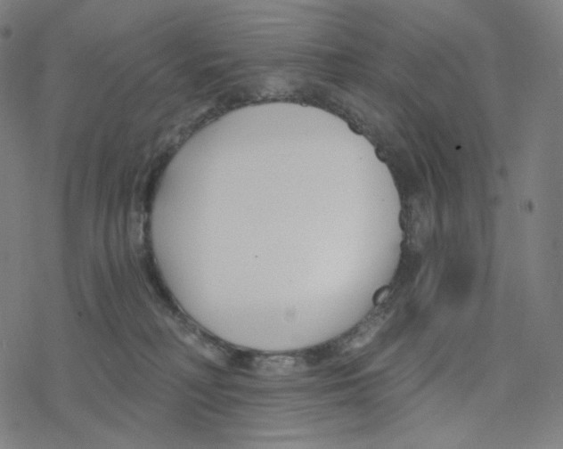 X0000078260230200612011702