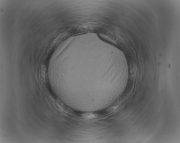 X0000078260231200612011702