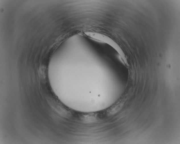 X0000078260232200612011702