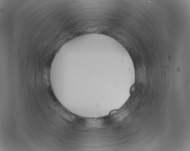 X0000078260234200612011702