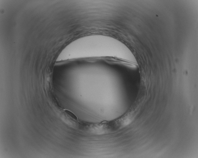 X0000078260235200612011702