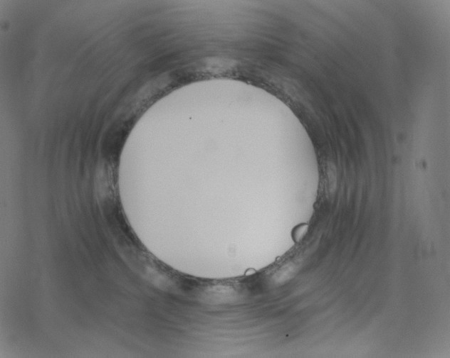 X0000078260236200612011702