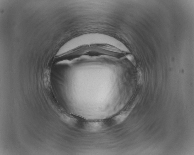 X0000078260237200612011702