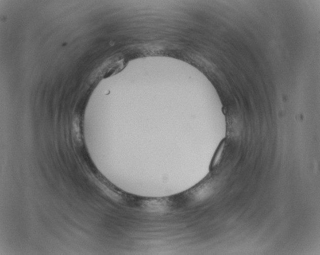 X0000078260238200612011702