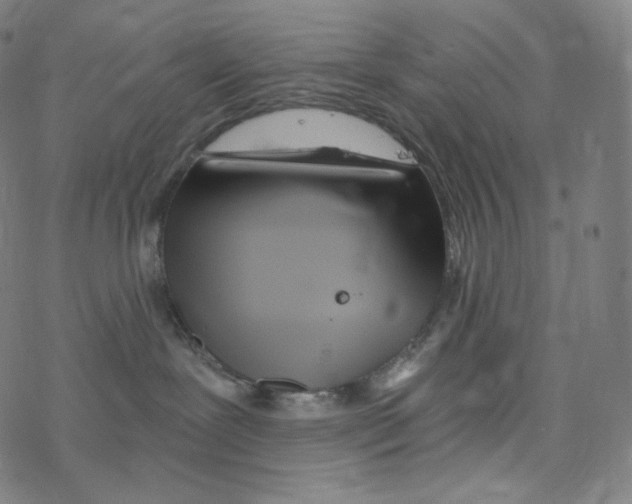 X0000078260239200612011702