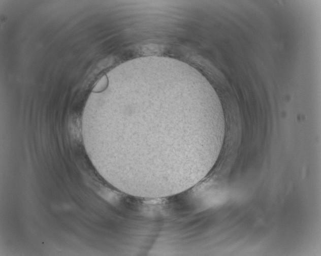 X0000078260240200612011702