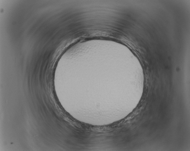 X0000078260241200612011701