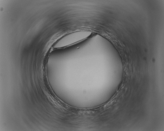 X0000078260242200612011701