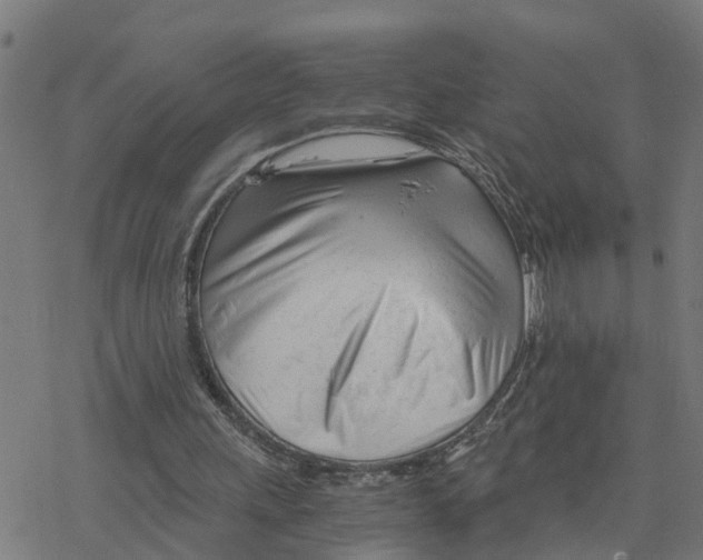 X0000078260243200612011701