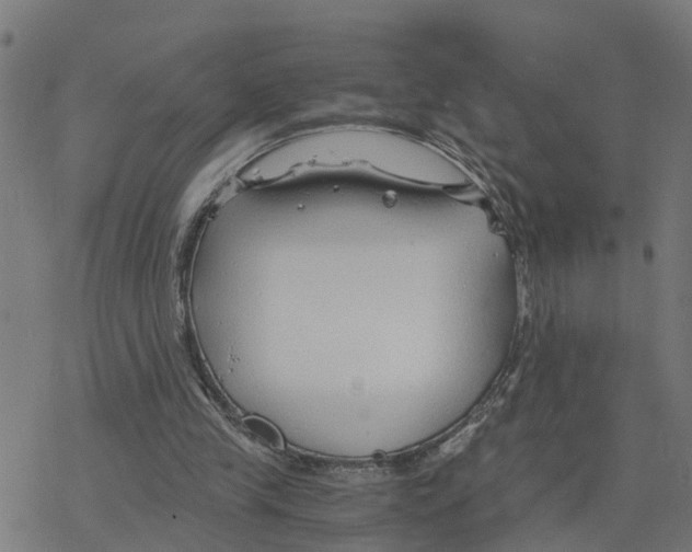 X0000078260245200612011701