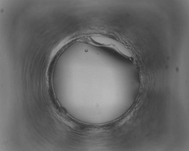 X0000078260246200612011701