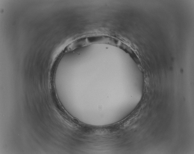 X0000078260248200612011701