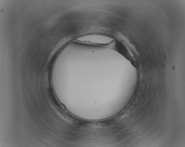 X0000078260250200612011701