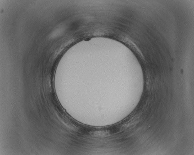 X0000078260251200612011701