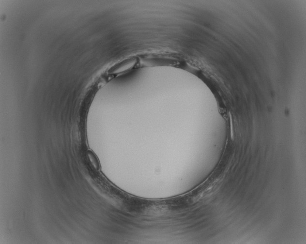 X0000078260252200612011701