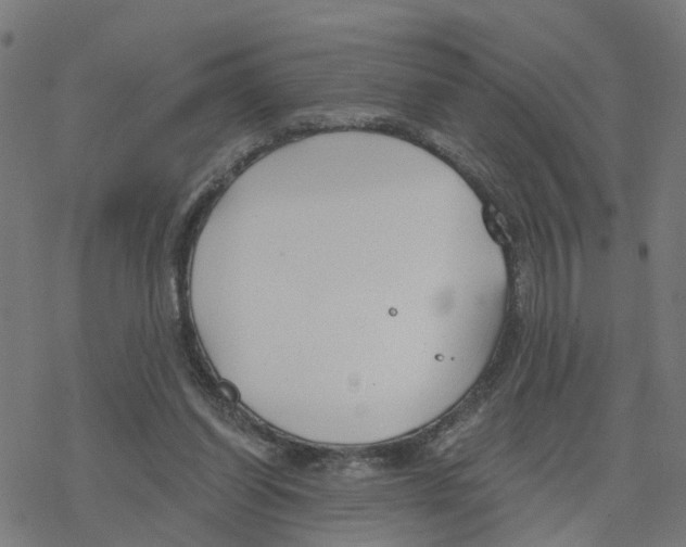 X0000078260254200612011701