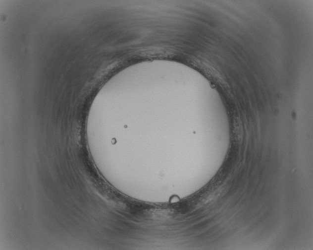 X0000078260255200612011701