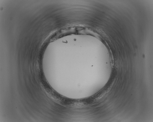 X0000078260256200612011701