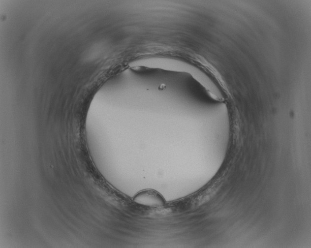 X0000078260257200612011701