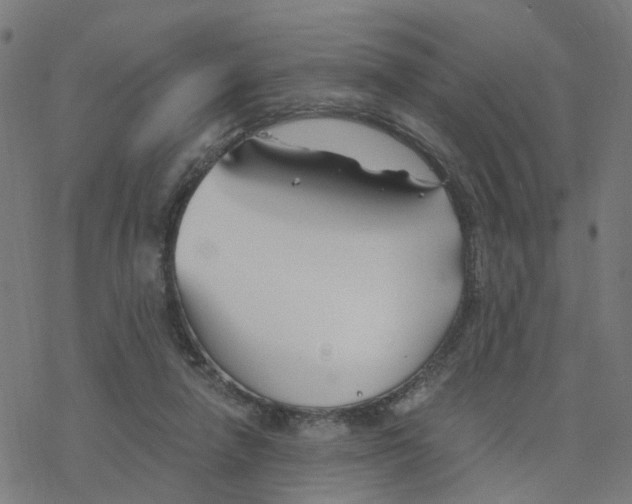 X0000078260258200612011701