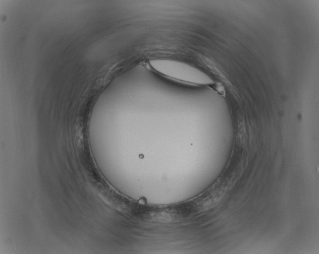 X0000078260259200612011701