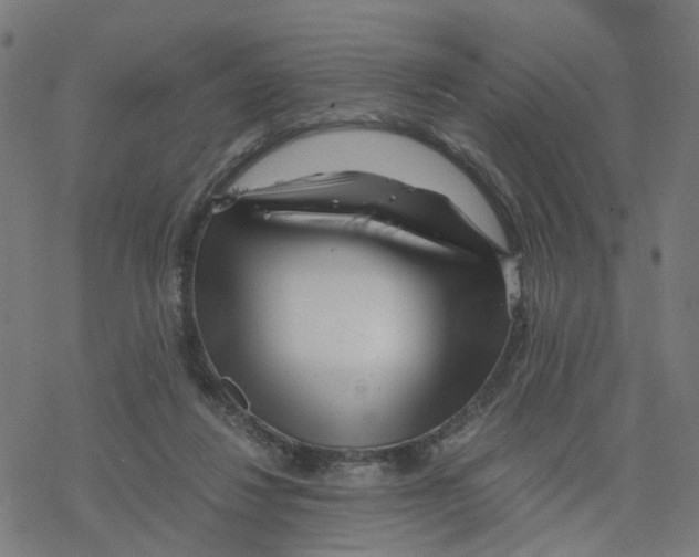 X0000078260260200612011702