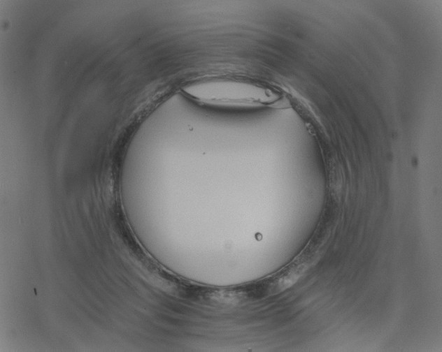 X0000078260261200612011702