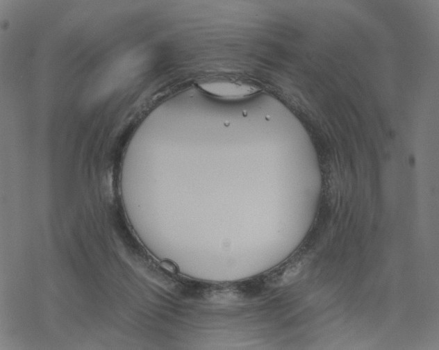 X0000078260262200612011702