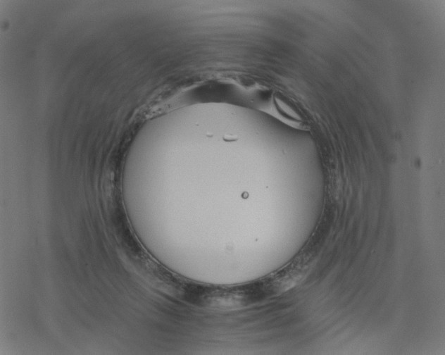 X0000078260263200612011702