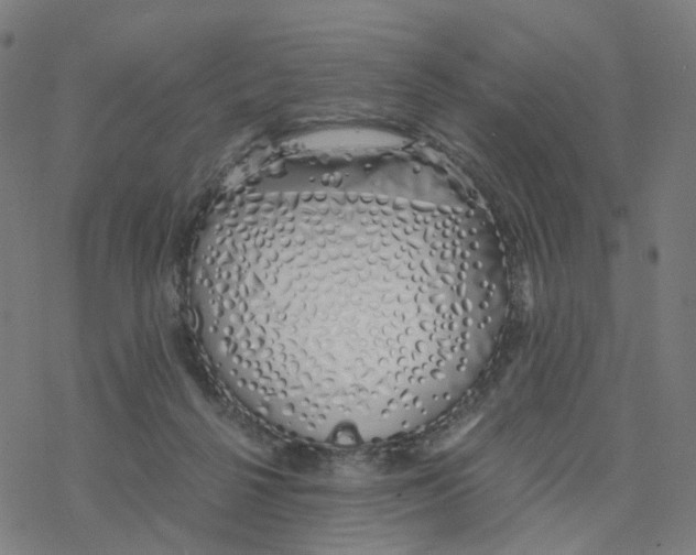 X0000078260264200612011702