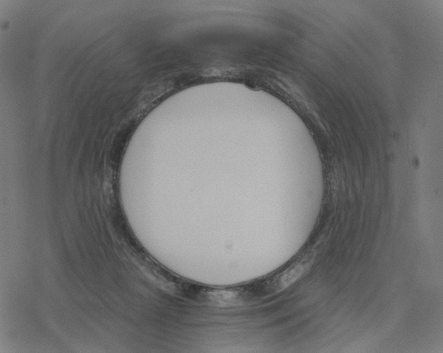 X0000078260265200612011702