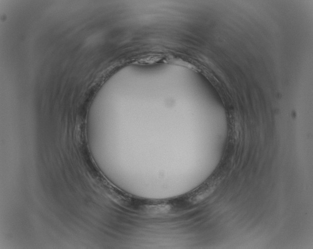 X0000078260266200612011702