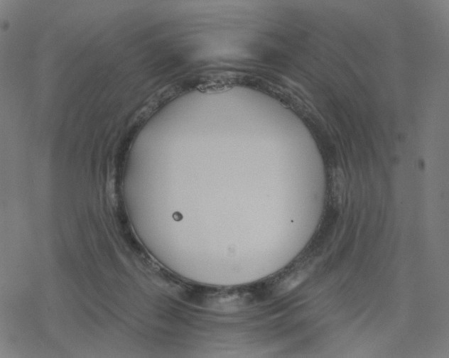 X0000078260267200612011702