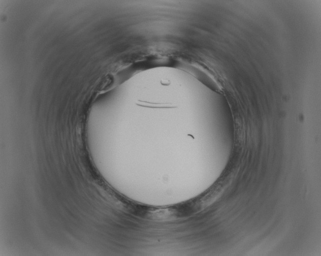 X0000078260269200612011702