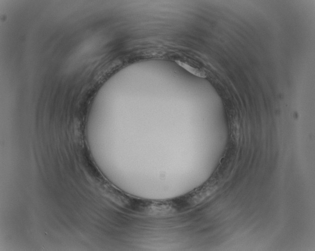 X0000078260270200612011702