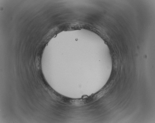 X0000078260273200612011702