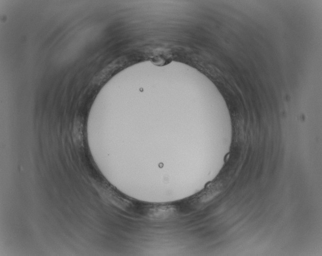 X0000078260274200612011702