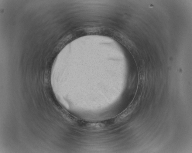 X0000078260277200612011702