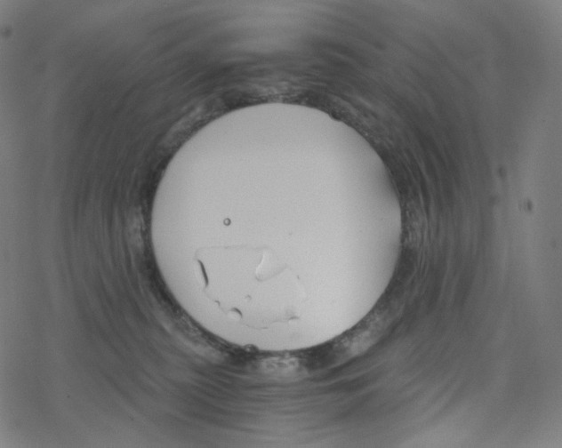 X0000078260279200612011702