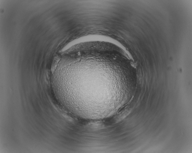 X0000078260280200612011702