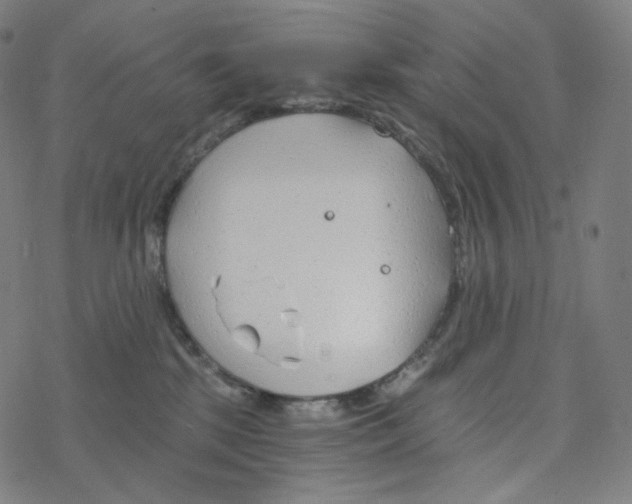 X0000078260281200612011702