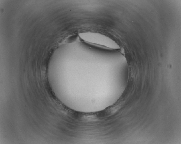 X0000078260283200612011702