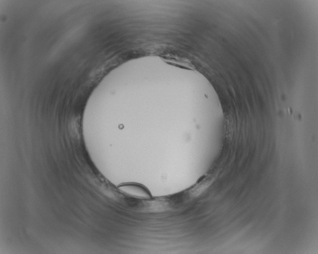 X0000078260286200612011702