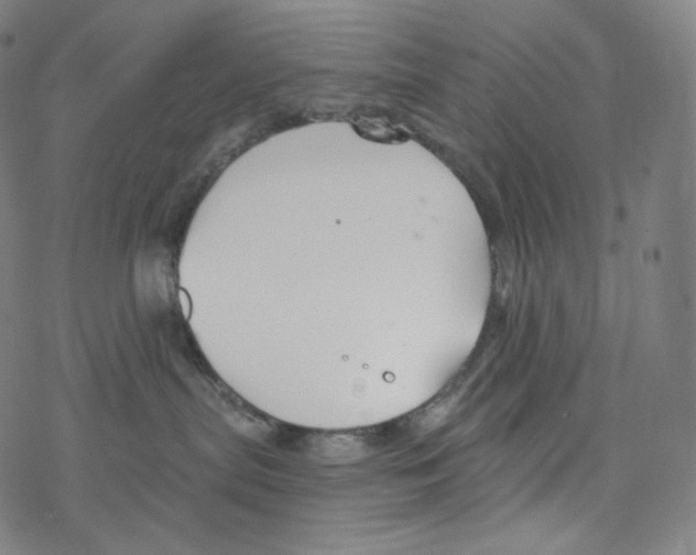 X0000078260287200612011702