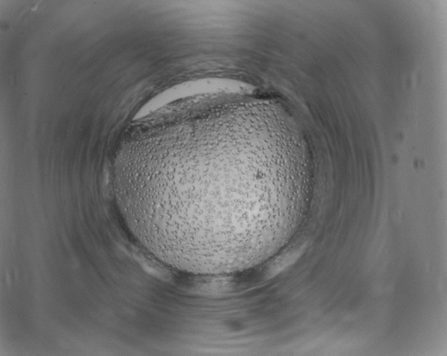 X0000078260288200612011702