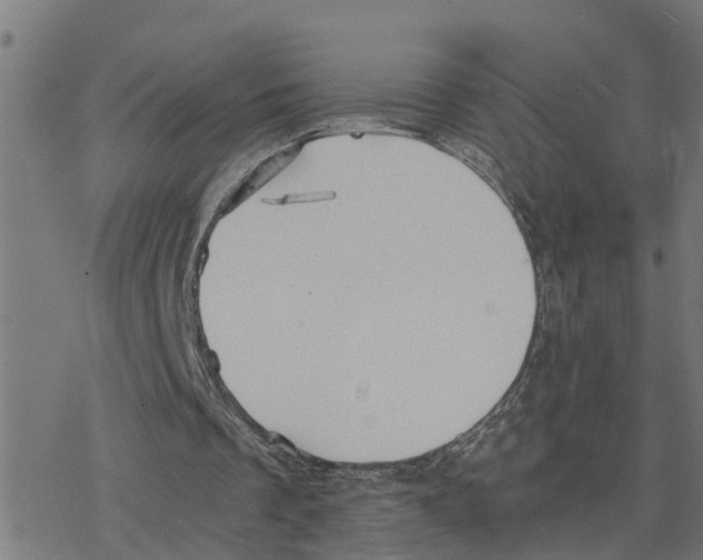 X0000078260289200612011701