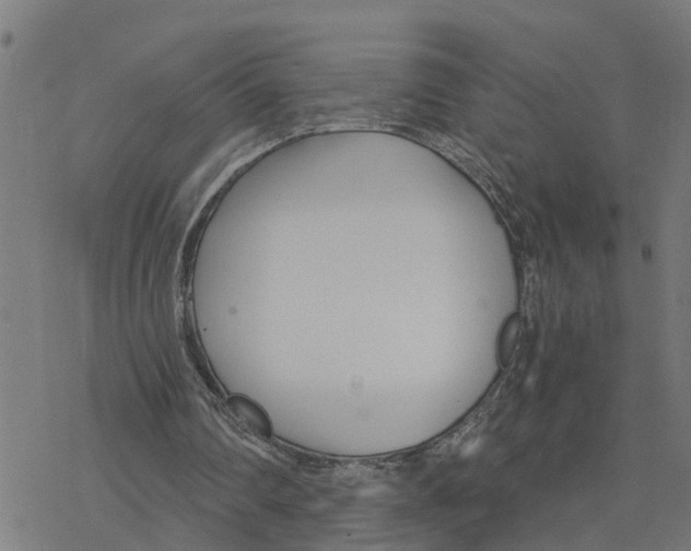 X0000078260290200612011701